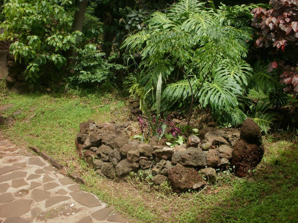 Cabanas Moenga Hanga Roa Esterno foto
